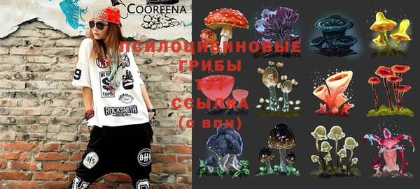 гидропоника Баксан