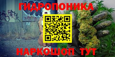 spice Чебоксары
