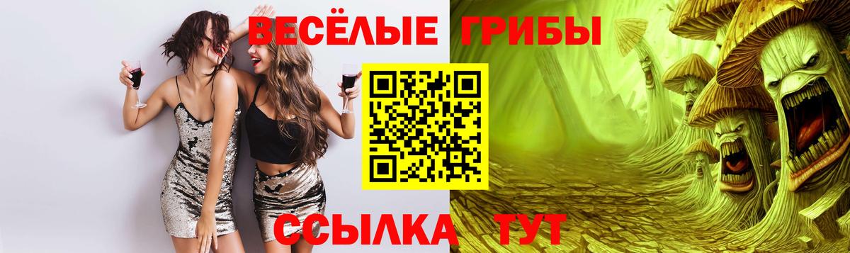 Реутов  Галлюциногенные грибы GOLDEN TEACHER  Вход с VPN 